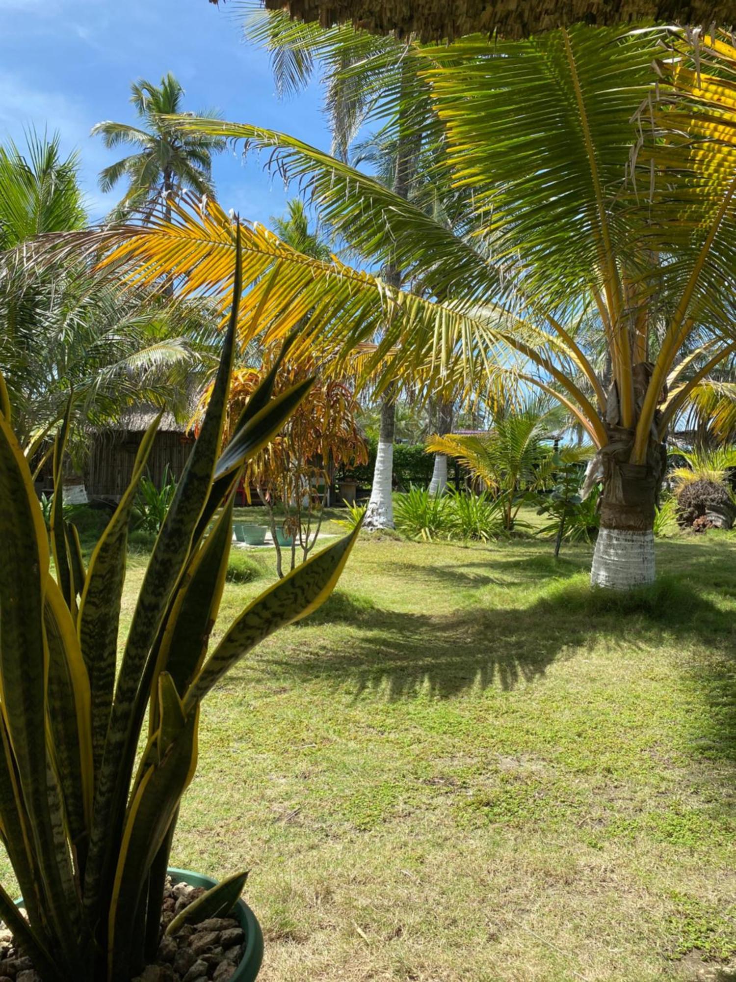 Zefiro Hostal San Bernardo del Viento Exteriör bild